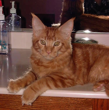 Photo by Betsy Tinney (c) 1999
