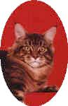 Photo by Chanan copyright 1997