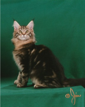 Photo (c) 1998 by Pheline Photography (Jim Brown). All rights reserved.