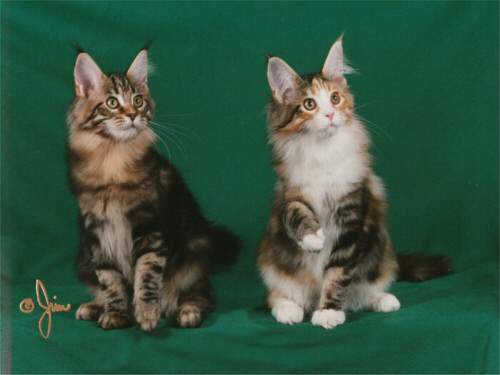 Photo by Jim Brown copyright 1998