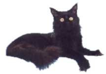 Photo by Chanan copyright 1997