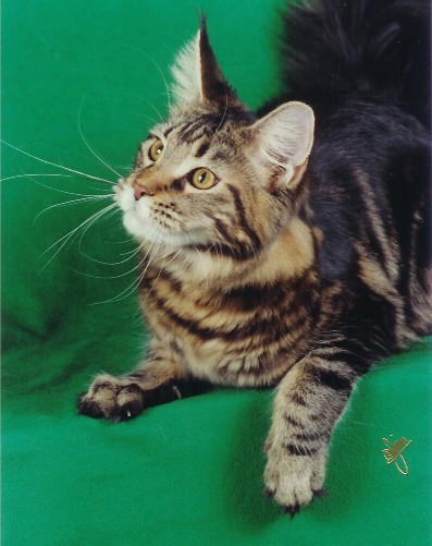 Photo copyright (c) 2003 by Jim Brown/Pheline Photography. All rights reserved.