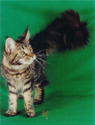 Photo copyright (c) 2003 by Jim Brown/Pheline Photography. All rights reserved.