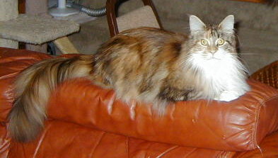 Photo (c) 1998 by Laura Cunningham. All rights reserved.