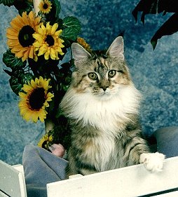 Photo (c) 1997 by David Jensen Photography