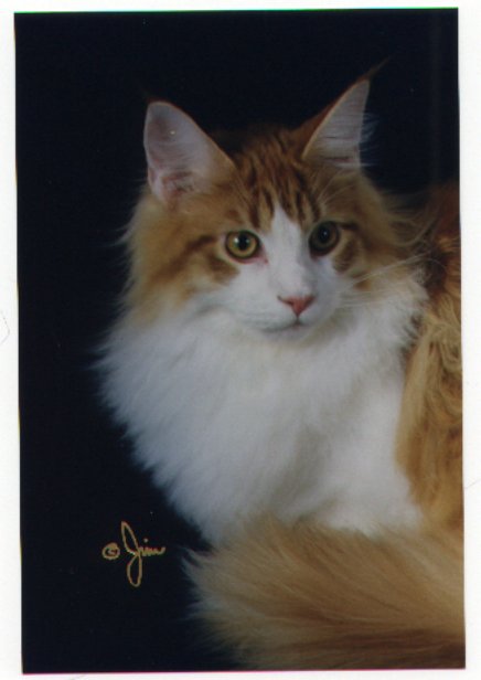 Photo (c) 1998 by Pheline Photography (Jim Brown). All rights reserved.