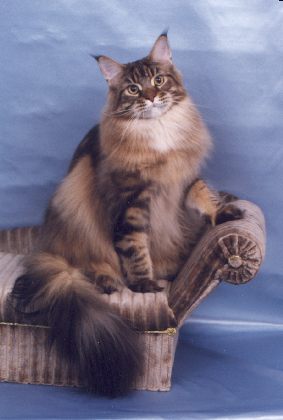 Photo (c) 2001 by Barb Zurawski. All rights reserved.