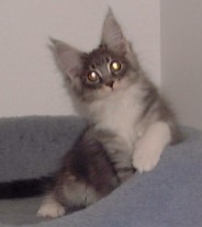 Photo by Betsy Tinney (c) 2001. All rights reserved.