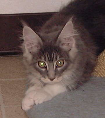 Photo by Betsy Tinney (c) 2001. All rights reserved