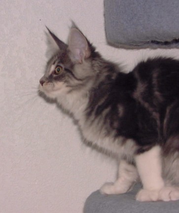 Photo by Betsy Tinney (c) 2001. All rights reserved.