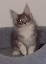 Photo by Betsy Tinney (c) 2001. All rights reserved.