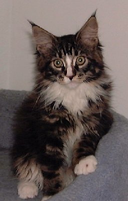 Photo (c) 2001 by Betsy Tinney. All rights reserved.
