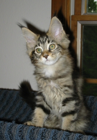 Photo by Betsy Tinney (c) 2003. All rights reserved.