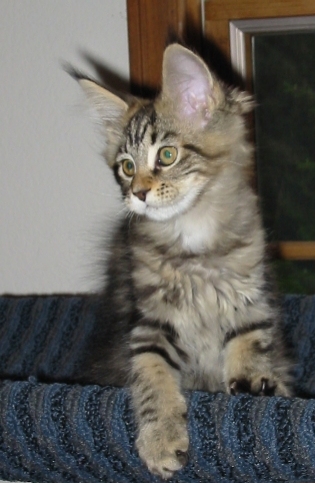 Photo by Betsy Tinney (c) 2003. All rights reserved.