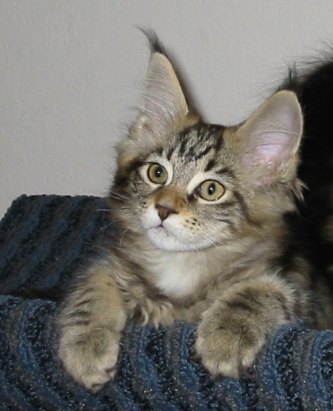 Photo by Betsy Tinney (c) 2003. All rights reserved.