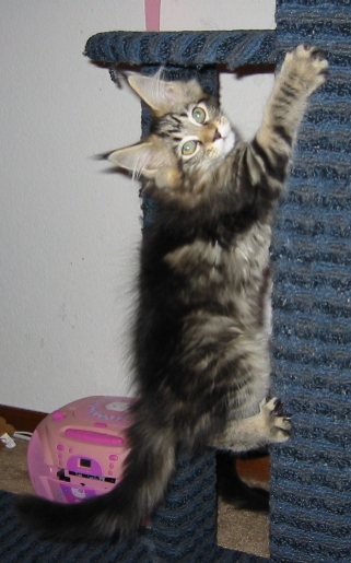 Photo by Betsy Tinney (c) 2003. All rights reserved.
