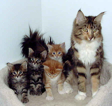 Photo (c) 1999 by Betsy Tinney